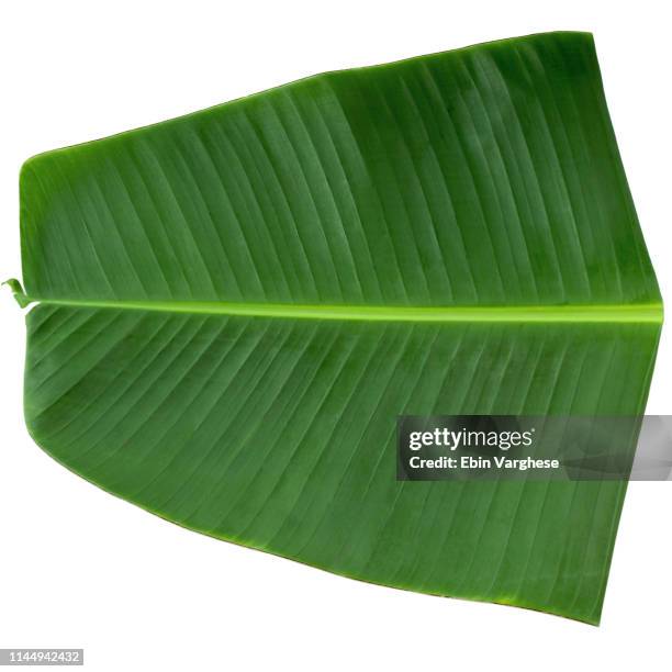 banana leaf background - bananenblad stockfoto's en -beelden