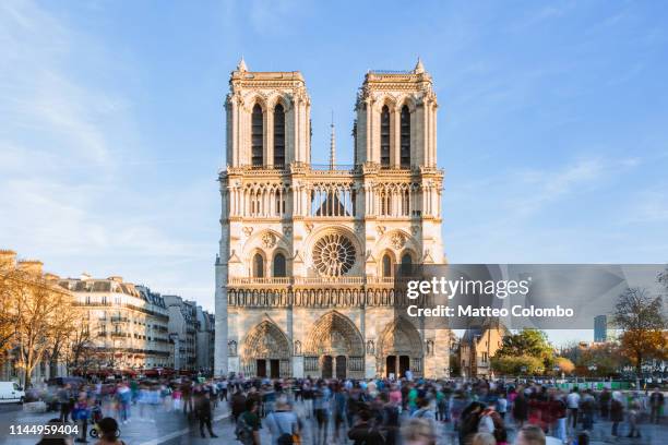 notre dame cathedral with tourists, paris, france - notre dame de paris stock pictures, royalty-free photos & images