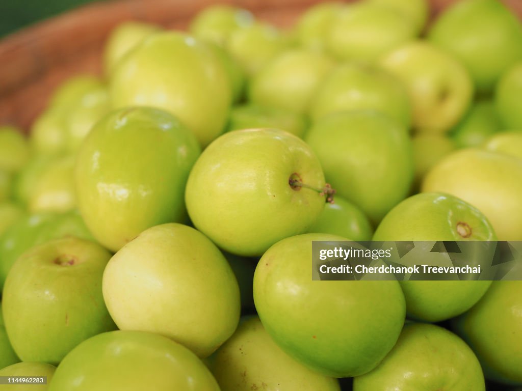 Jujube or Chinese date