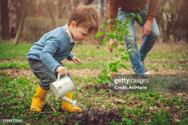 familienbewässerungsbaum beim gärtnern am arbor-tag im frühjahr - watering plants stock-fotos und bilder