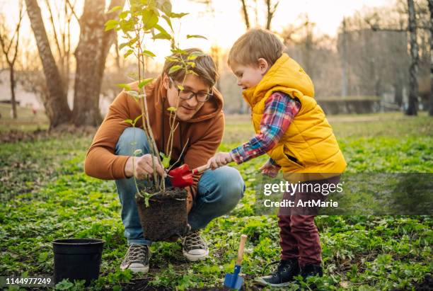 vader en zoon planten boom op arbor day in de lente - family planting tree stockfoto's en -beelden