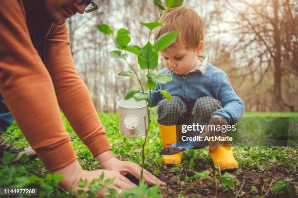 春のアーバーの日に家族の植栽ツリー - kid in a tree ストックフォトと画像