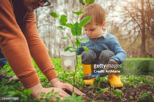 familie planten boom op arbor day in de lente - family planting tree stockfoto's en -beelden
