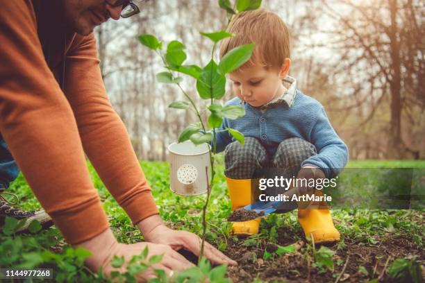 family planting tree on arbor day in springtime - arbor day stock pictures, royalty-free photos & images