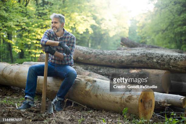 holzfäller sitzt auf einem protokoll - forestry worker stock-fotos und bilder