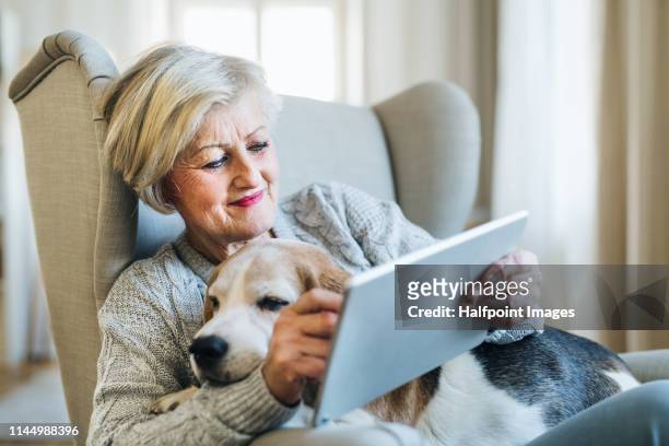 An active senior woman with a dog at home, using tablet.