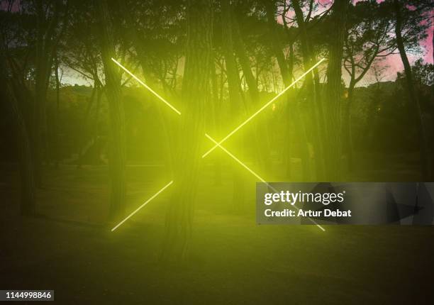 yellow neon with cross shape light between pine trees with futuristic visual effect. - blue tree 3d stock-fotos und bilder