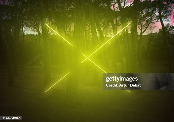 16,221 X Tree Stock Photos, High-Res Pictures, and Images 16,221 X Tree Stock Photos, High-Res Pictures, and Images