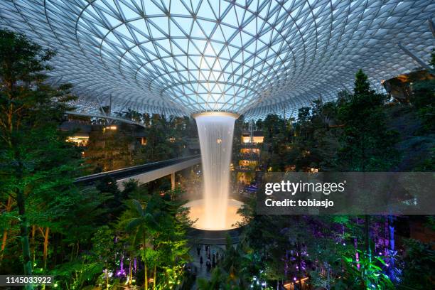 a cachoeira do vortex da chuva situada dentro do aeroporto de changi da jóia em singapore - changi airport - fotografias e filmes do acervo