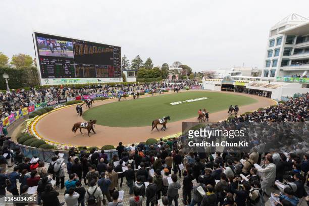 Huge crowd packs at JRA Nakayama Racecourse during the Satsuki Sho race day on April 14, 2019 in Funabashi, Chiba Prefecture, Japan.