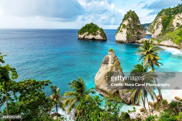 diamond beach in nusa penida bali - tropical island stockfoto's en -beelden