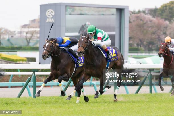 Jockey Christophe Lemaire riding Saturnalia wins the Satsuki Sho at Nakayama Racecourse on April 14, 2019 in Funabashi, Japan. It is the first leg of...