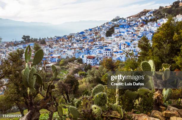 general view of the medina - chefchaouen medina stock pictures, royalty-free photos & images