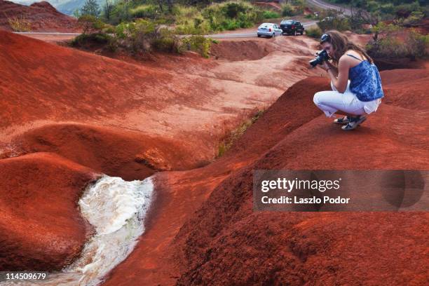 a little creen at waimea canyon, kauai - solo vermelho - fotografias e filmes do acervo