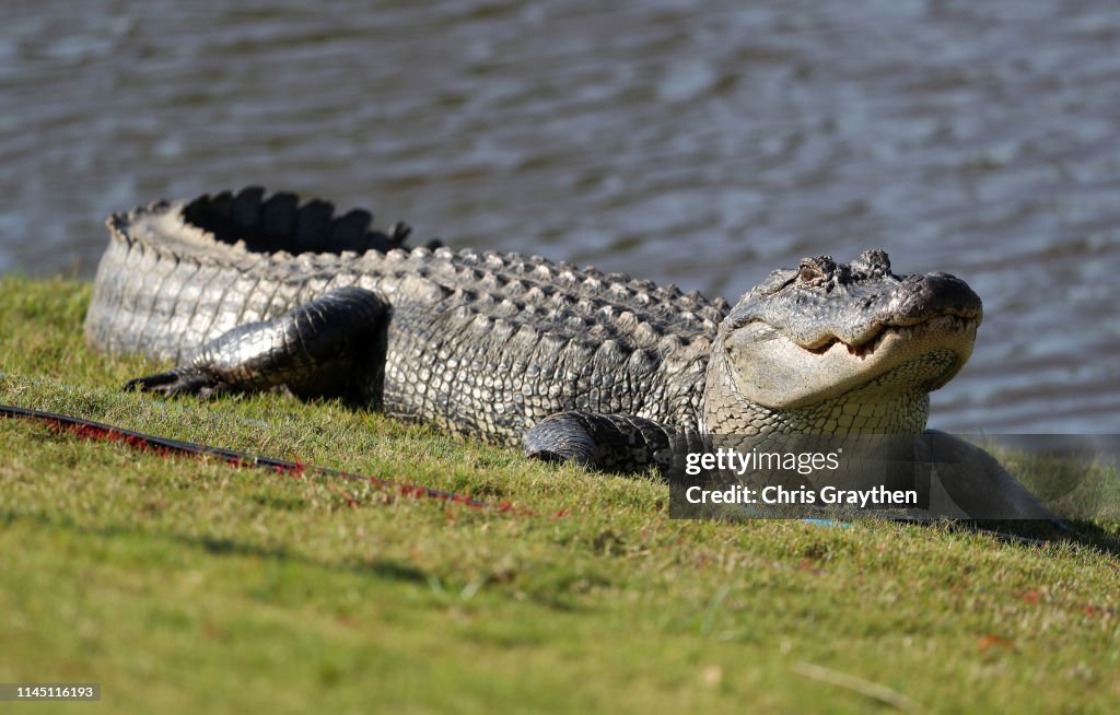 Zurich Classic Of New Orleans - Round One