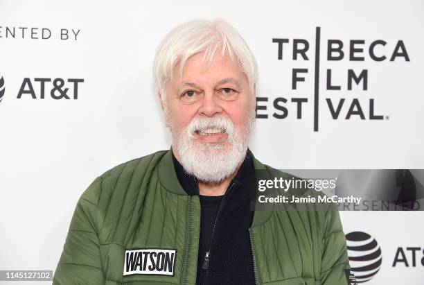 10,978 Paul Watson Photos & High Res Pictures - Getty Images