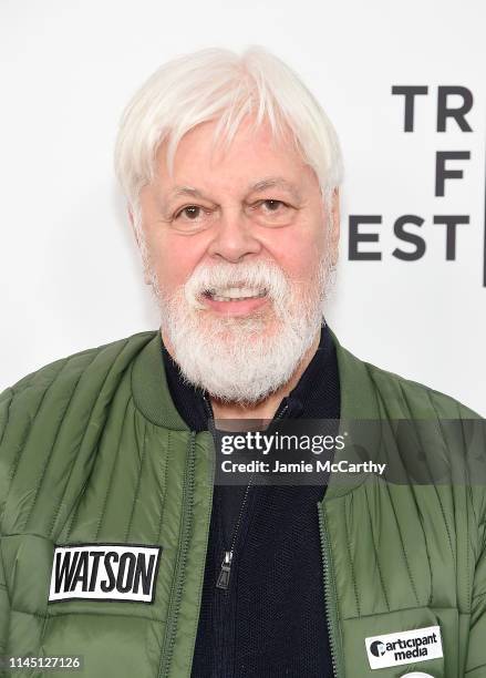 Paul Watson attends the "Watson" screening at the 2019 Tribeca Film Festival at SVA Theater on April 25, 2019 in New York City.