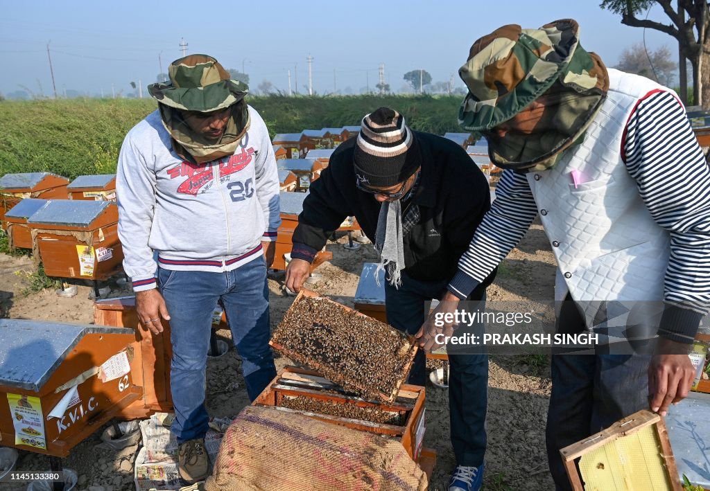 Bee Rana This photo taken on January 29 shows Indian farmer Dinesh Rana... News ...