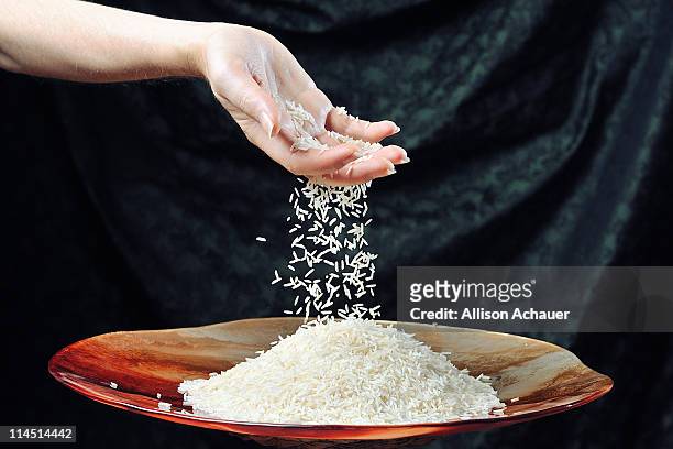 falling rice - rice grain foto e immagini stock