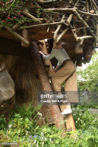 Catherine, Duchess of Cambridge climbs the ladder into the treehouse during a visit to her garden at the RHS Chelsea Flower Show at the Royal...
