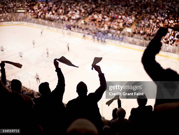 cheering fans at ice hockey game. - hockey sobre hielo fotografías e imágenes de stock
