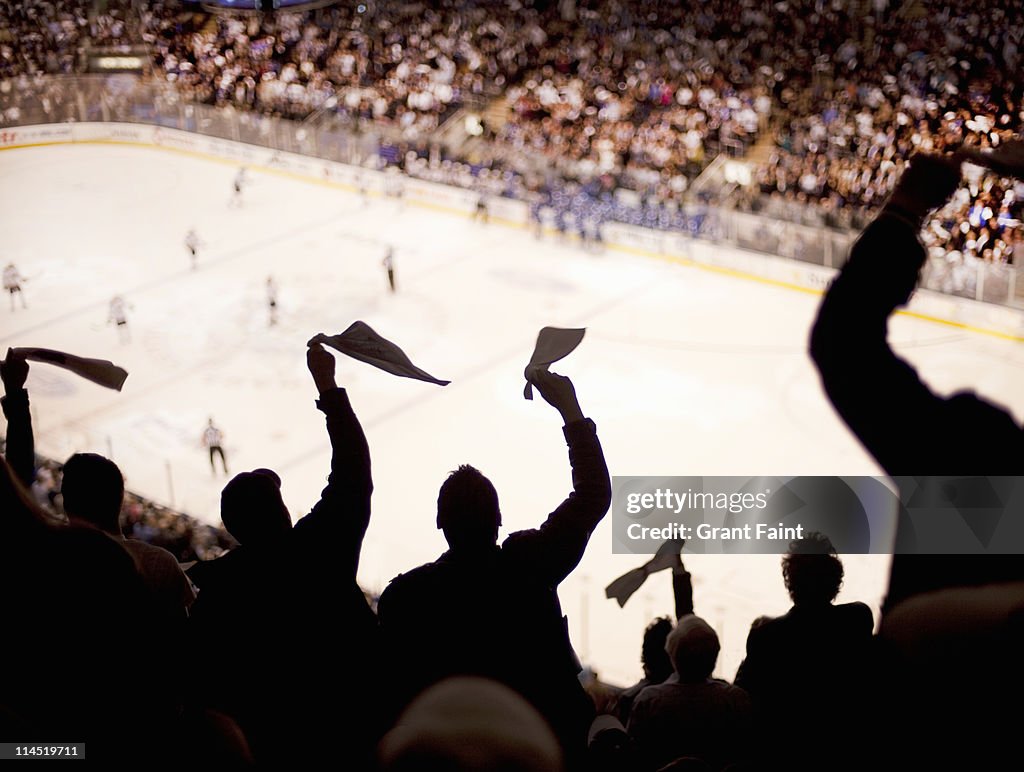 Cheering fans at Ice Hockey game.