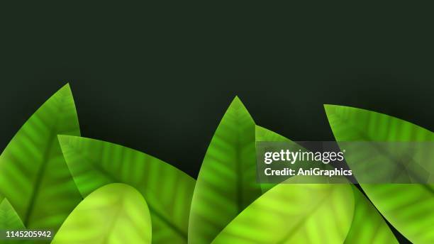 green leave background - parakeet stock illustrations
