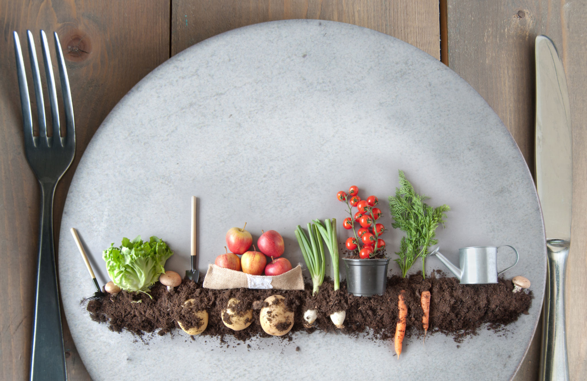local organic food
