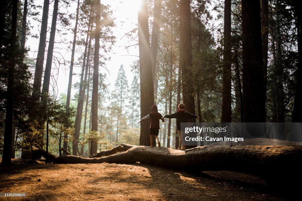 Rear view of brothers with arms outstretched walking on log in Yosemite National Park