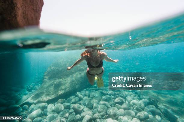 midsection of woman in bikini diving undersea - schwimmflosse stock-fotos und bilder