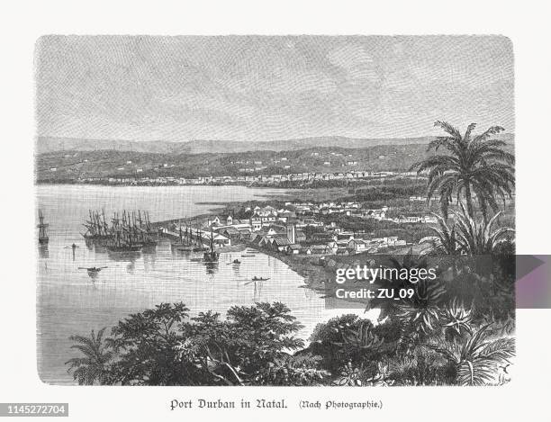 port of durban, kwazulu-natal, south africa, wood engraving, published 1897 - durban harbour stock illustrations