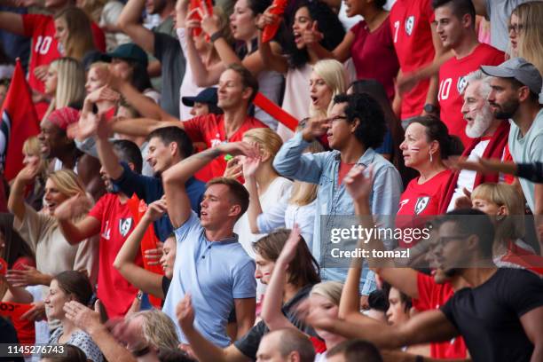 fans on the stadium cheering - hooligan stock pictures, royalty-free photos & images