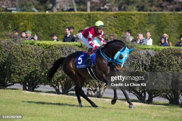 Jockey Shinichi Ishigami riding Oju Chosan during the Race 11 Nakayama Grand Jump at Nakayama Racecourse on April 13, 2019 in Funabashi, Chiba...