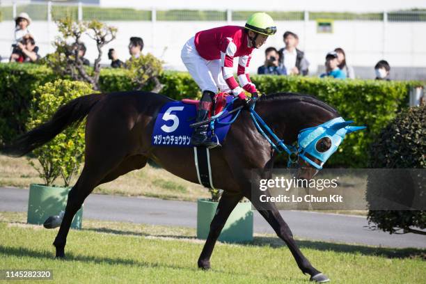 Jockey Shinichi Ishigami riding Oju Chosan during the Race 11 Nakayama Grand Jump at Nakayama Racecourse on April 13, 2019 in Funabashi, Chiba...