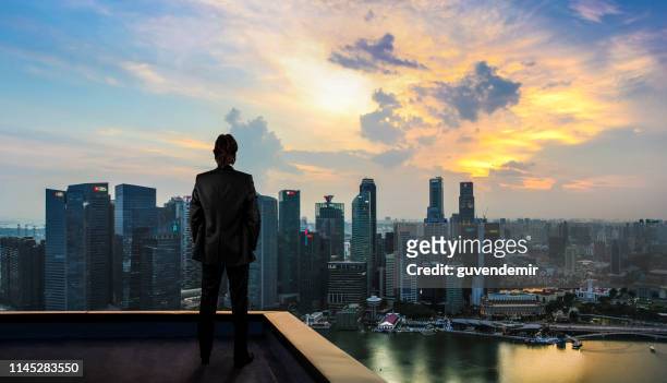 uomo d'affari che guarda la città sul tetto del grattacielo - grattacielo foto e immagini stock