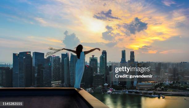 junge frau steht hände auf dem dach des wolkenkratzers in singapur stadt - singapore people stock-fotos und bilder