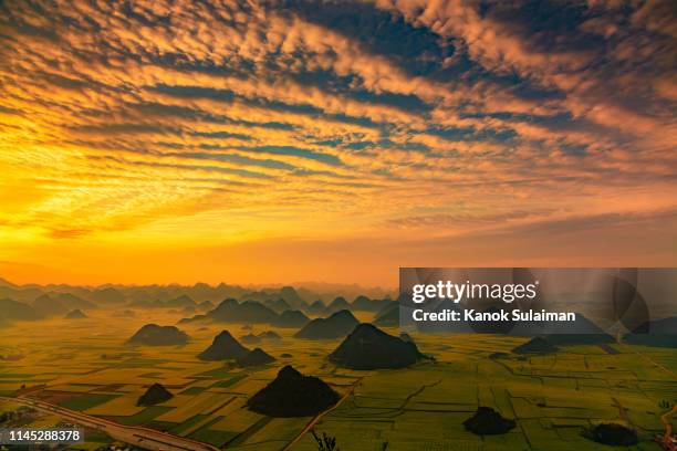 rapeseed flower fields in china - yunnan province stock pictures, royalty-free photos & images