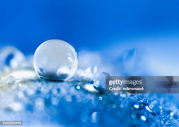Small Drops Little Drops Photos and Premium High Res Pictures - Getty Images