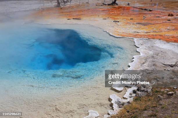 fountain paint pots-lower geyser basin-yellowstone np - algue bleue photos et images de collection
