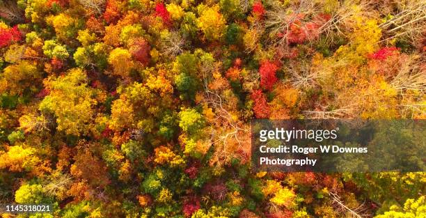 autumn in asheville - asheville stock pictures, royalty-free photos & images