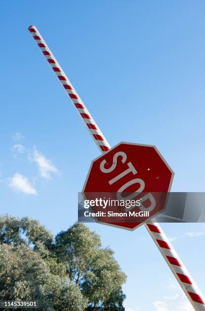 stop sign on an open boom barrier gate - boom barrier stock pictures, royalty-free photos & images