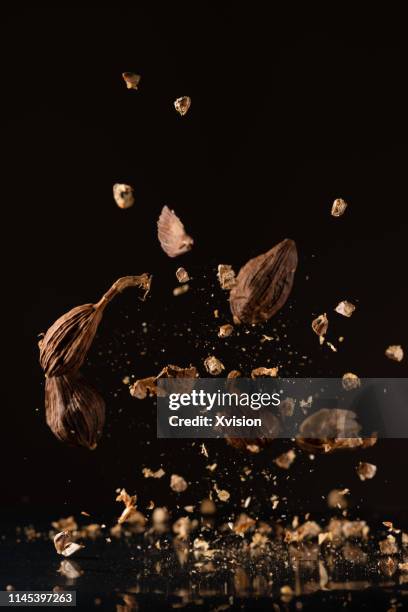 amomum tsao-ko dancing in mid air with black background captured in high speed"n - cardamom - fotografias e filmes do acervo