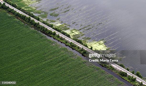 The Yazoo River floodwaters inundate crops near Yazoo City May 23, 2011 in Yazoo County, Mississippi. The Yazoo River floodwaters are forecast to...