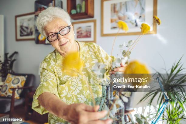 donna anziana a casa - terza età foto e immagini stock