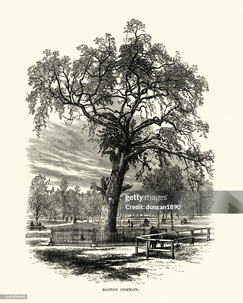 Boston Common, public park in downtown Boston, Massachusetts 19th Century