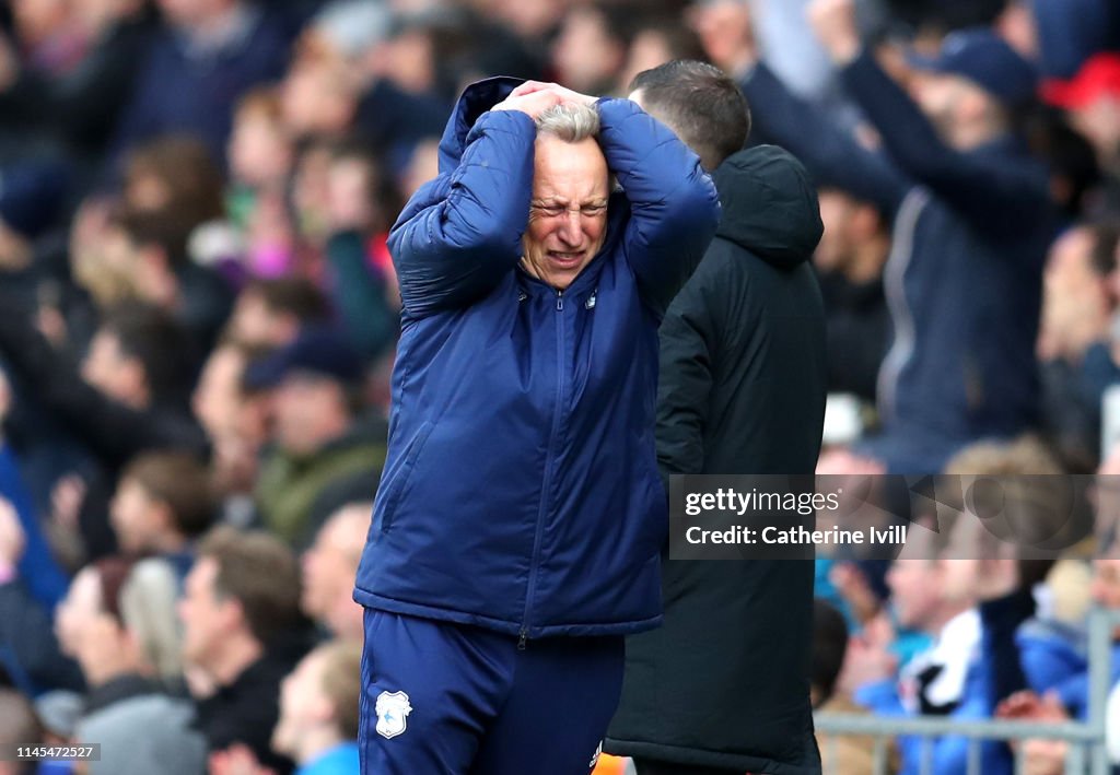 Fulham FC v Cardiff City - Premier League