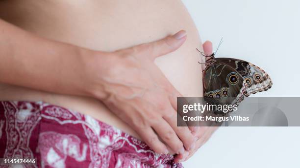 a butterfly on the belly - reincarnação imagens e fotografias de stock