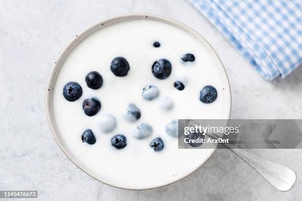 yogurt with blueberries in bowl - grädde bildbanksfoton och bilder