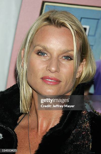 Nicollette Sheridan during AFI Fest 2005 Screening of "Transamerica" - Arrivals at Arclight Hollywood Cinerama Dome in Hollywood, California, United...