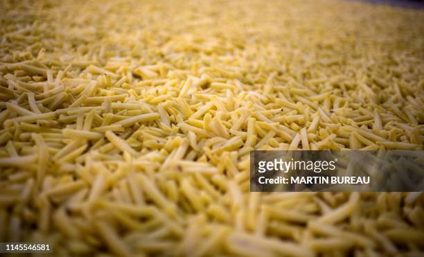 Picture shows French fries at the McCain French fries factory in Matougues on May 17, 2019.